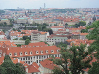 Fototapeta premium Panorama of Prague, view of the city roofs and domes of churches