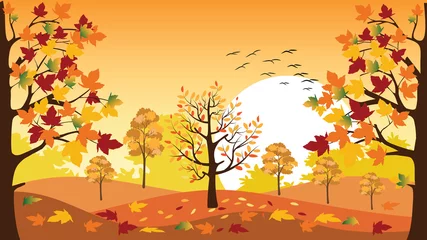 Poster Panoramisch landschap van het platteland in de herfst met gevallen bladeren op het gras, © Anchalee