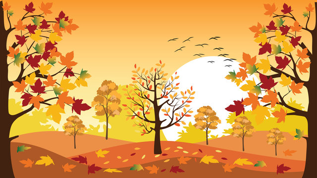 Beautiful Fall Pictures Wallpaper 60 images