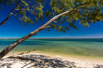 Beach with trees on the west side of Bribie Island, Queensland, Australia