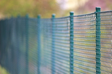 green wire mesh fence