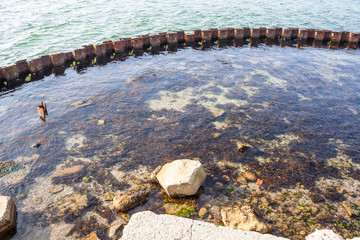 Meeresufer mit Sandstrand an der Ostsee mit Wasser im Sommer