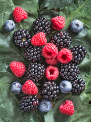Fresh berries, blueberry, raspberry, blackberry closeup.