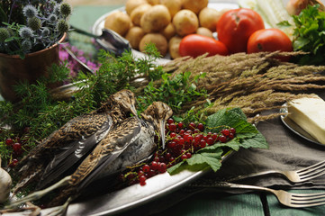 Wild hunting fowls in cooking. Two snipe or woodcock lie on metal dish. Hunting composition,...