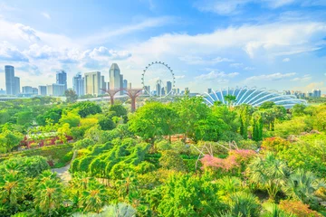 Papier Peint photo autocollant Singapour Vue aérienne du paysage urbain de Singapour et des jardins de la baie. Célèbre attraction touristique dans la région de la baie de la marina, à Singapour.