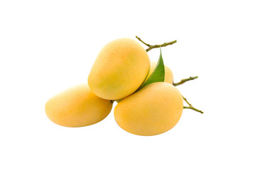 Mango on a white background