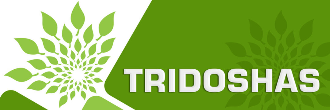 Tridoshas Green Leaves Circular Rounded Squares 
