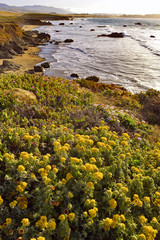The Big Sur coast, California, USA