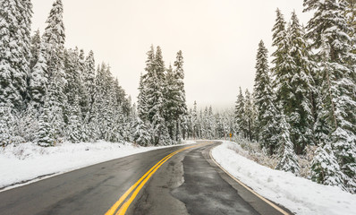 Obraz premium scenic view of the road in the forest with snow covered.
