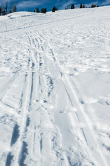 Fototapeta na wymiar ski track in ski resort area.