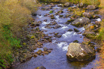 small river between tree and grass yellow green and red color