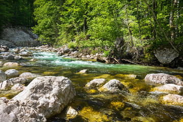 Obraz premium Wonderful nature, Walking trips in Triglav National Park near Ukanc and Waterfall Slap Savica, Bohinj Valley and Lake, Upper Carniolan, Slovenia, Europe