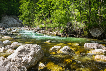 Wonderful nature, Walking trips in Triglav National Park near Ukanc and Waterfall Slap Savica, Bohinj Valley and Lake, Upper Carniolan, Slovenia, Europe