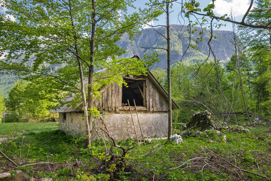 Wonderful nature, Walking trips in Triglav National Park near Ukanc and Waterfall Slap Savica, Bohinj Valley and Lake, Upper Carniolan, Slovenia, Europe
