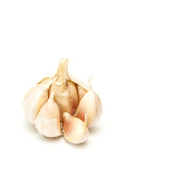 Raw garlic on white.