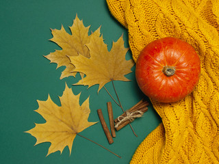 Orange pumpkin, yellow autumn maple leaf on dark green background top view flat lay. Autumn concept, halloween.