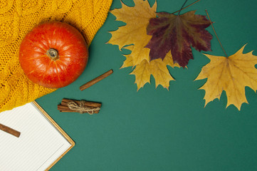 Opened notebook, orange pumpkin, cinnamon, yellow autumn maple leaf on dark green background top view flat lay. Concept of study, working table, halloween, autumn background. Space for text