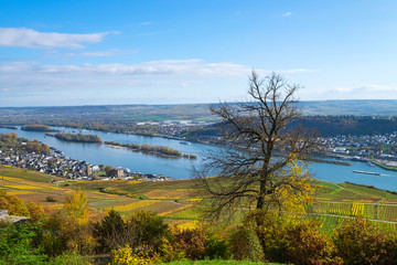 Der Rheingau bei Rüdesheim im Herbst