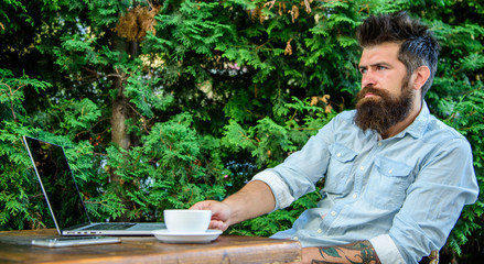 Naklejka na ściany i meble Man bearded businessman sit terrace with laptop and cup of coffee. Freelance benefit. Create content for web blog. Blogger create post while enjoy coffee. Hipster freelancer work online blog notebook
