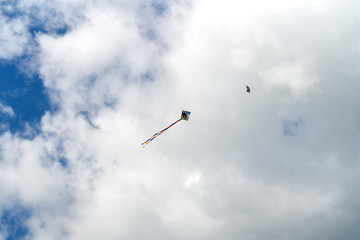 Naklejka na ściany i meble Blue Sky & Cloud With Flying Korean Kite 