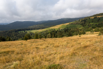 Crêtes en automne