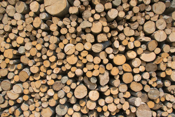 Abstract wooden background with a round slices of lumber.