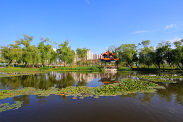 Obraz premium traditional style pavilion in a park in China