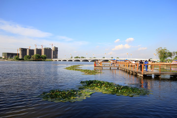 Obraz premium humanistic landscape in a park in China