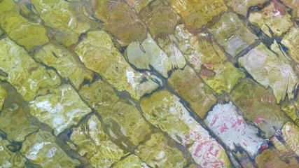 transparente y clara