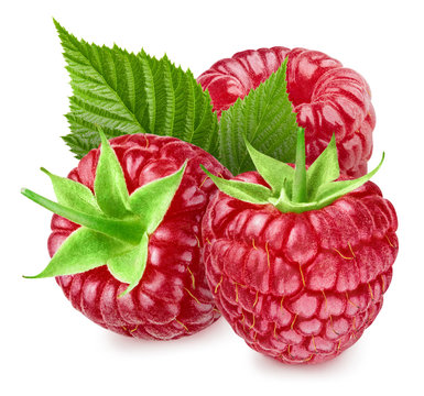 raspberries with leaf isolated