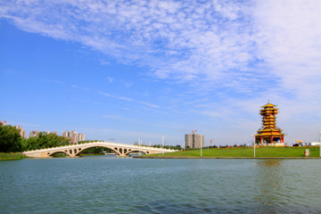 bridge and tower landscape in a park