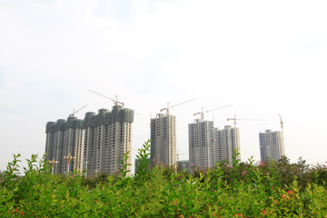 Obraz premium Unfinished buildings and green plant