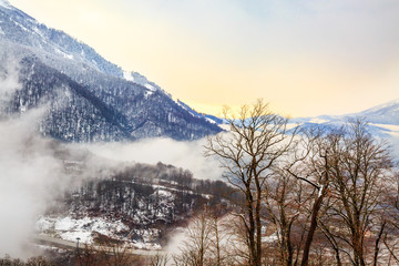 Foggy mountain landscape. Misty winter forest , bare tree and valley. Fog at  hiking famous place. View of snow capped mountains and sunset sky  in Rosa Khutor, Krasnaya Polyana, Sochi, Russia.