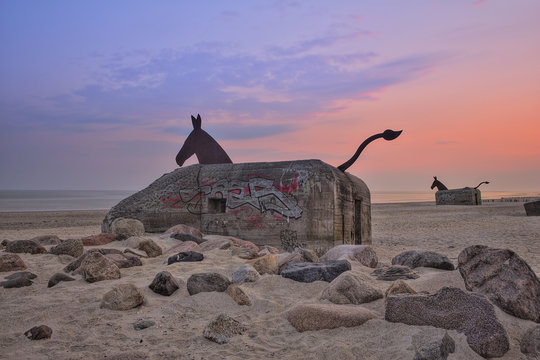 Blåvand Bilder Durchsuchen 1,221 Archivfotos, und