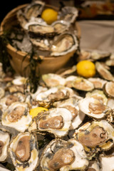 Tasty fresh oysters close-up on ice. Raw oysters are packed with nutrition, high in calcium, potassium, magnesium, vitamin and mineral. Flavor are sweet and refreshing. Believed to be an aphrodisiac.