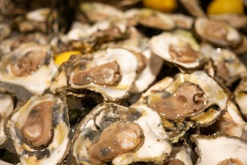 Tasty fresh oysters close-up on ice. Raw oysters are packed with nutrition, high in calcium, potassium, magnesium, vitamin and mineral. Flavor are sweet and refreshing. Believed to be an aphrodisiac.