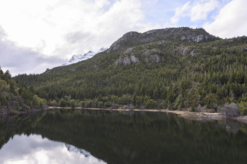 Scenic View Of Lake Reflected Against Forest