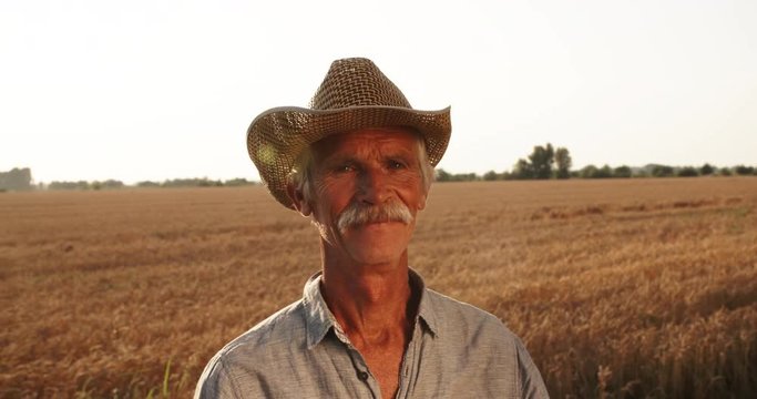 closeup portrait of old farmer in hat with moustache standing in middle of golden wheat field in sunset - agriculture concept 4k