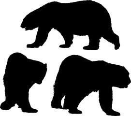Obraz na płótnie Canvas three large polar bears isolated black silhouettes