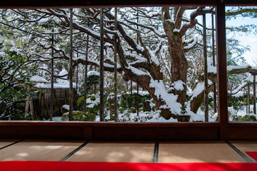 京都 大原野 宝泉院 雪景色の庭園