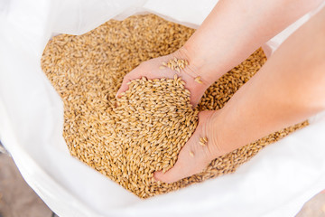 an image of a craft beer equipment at a brewery