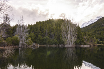 Scenic View Of Lake Reflected Against Forest