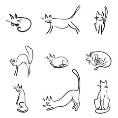Set of funny cats