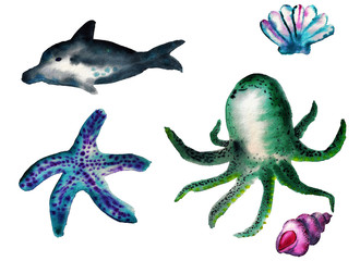 Fototapeta premium Watercolor sea creatures