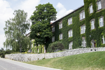 Fototapeta premium Old brick house with large beautiful windows entwined with green climbing ivy in the castle of Wawel