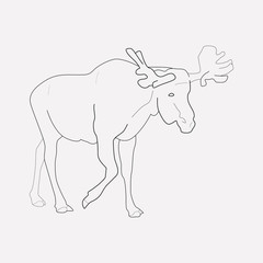 Fototapeta na wymiar Moose icon line element. Vector illustration of moose icon line isolated on clean background for your web mobile app logo design.