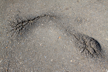 Crack of asphalt roads