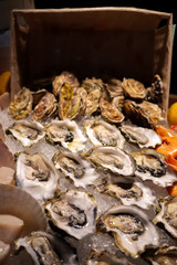 Tasty fresh oysters close-up on ice. Raw oysters are packed with nutrition, high in calcium, potassium, magnesium, vitamin and mineral. Flavor are sweet and refreshing. Believed to be an aphrodisiac.
