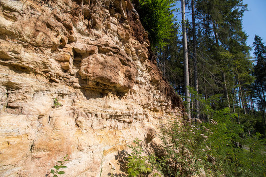 Sandstein Aufschluss im Wald in S&uuml;ddetuschland