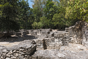 The ruins of the ancient Mayan city of calakmul, campeche, Mexico